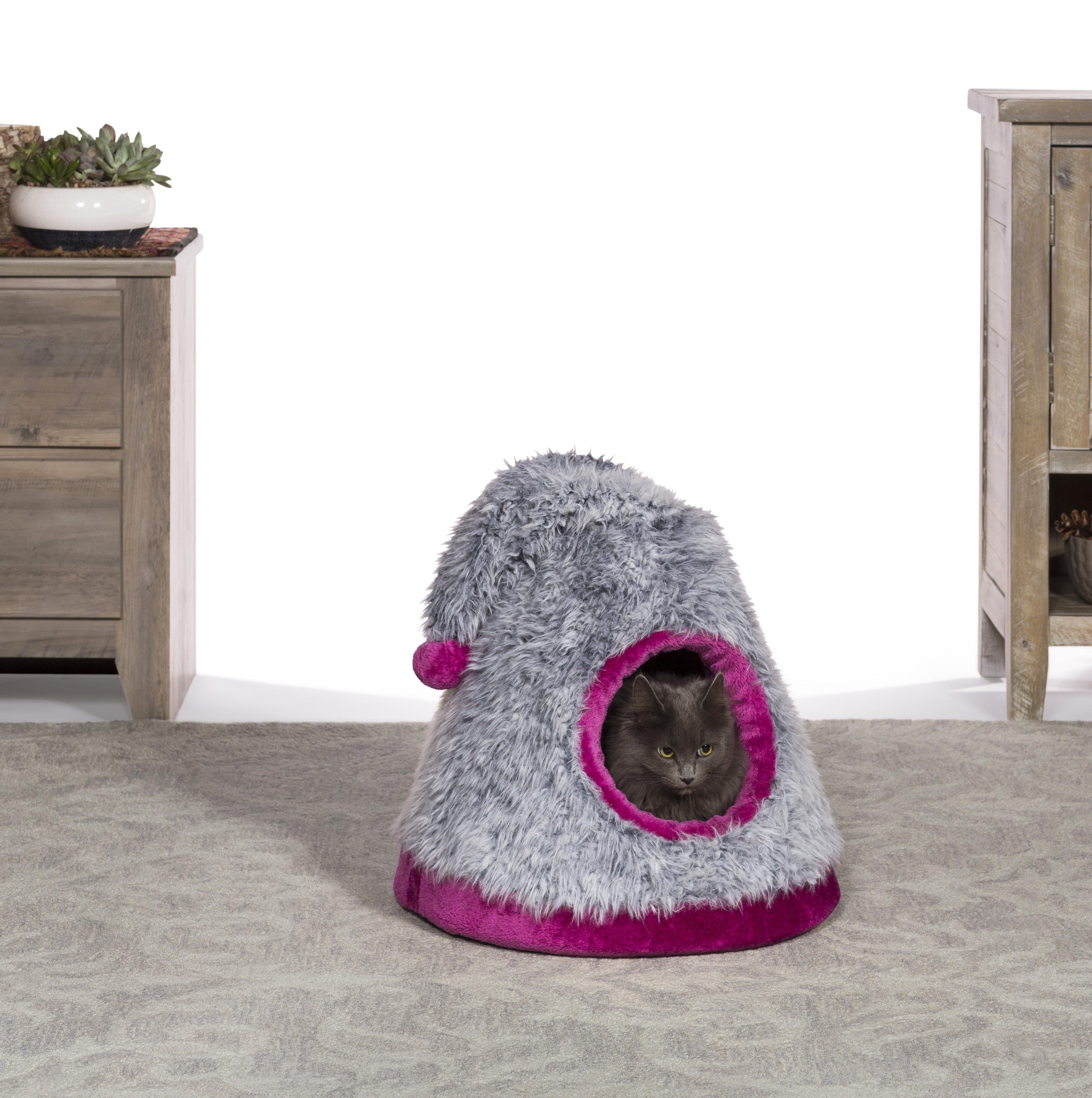kitten play tent