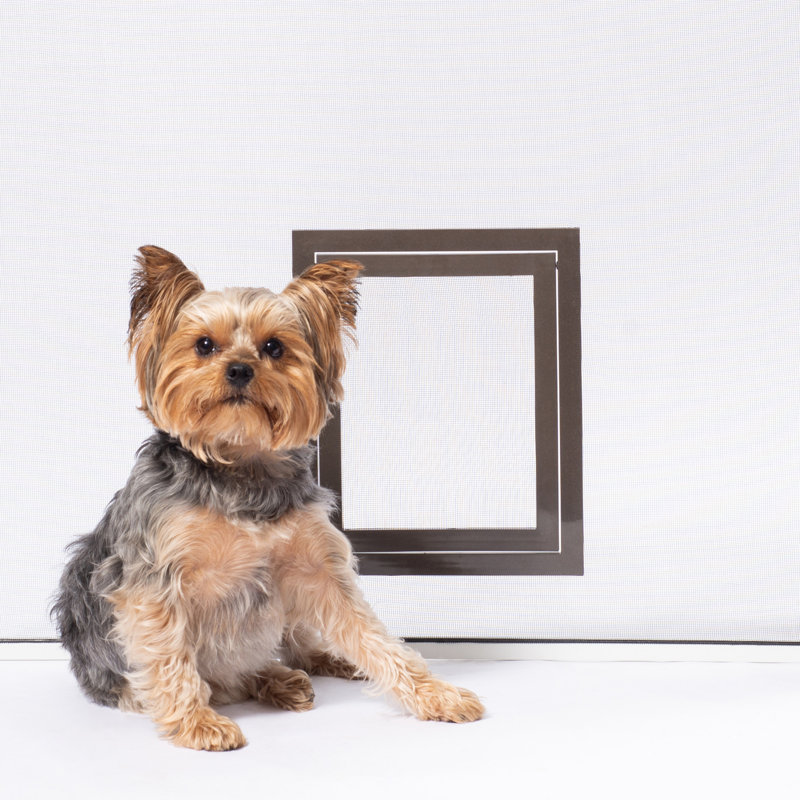 petsafe pet screen door