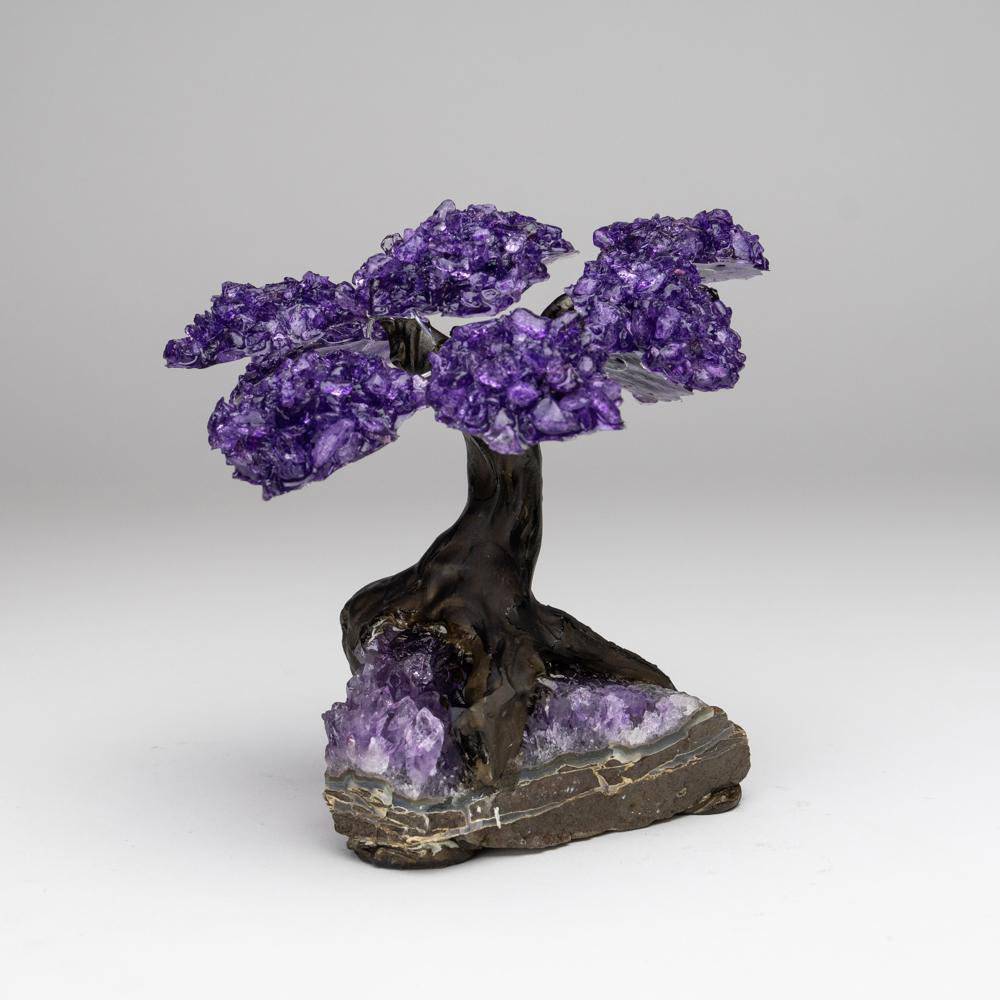 Astro Gallery Of Gems Medium Amethyst Clustered Gemstone Tree On Amethyst Matrix Reviews Wayfair