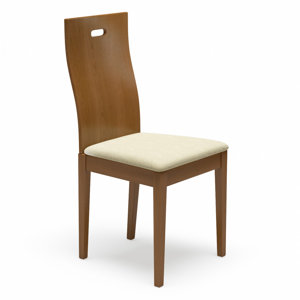 Cheri Genuine Leather Upholstered Dining Chair (Set of 2)