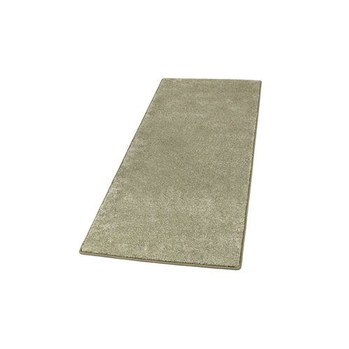 Fyllia Green Rug Ebern Designs Rug Size: Runner 100 x 300cm