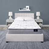 Icomfort Infant Sleeper Wayfair