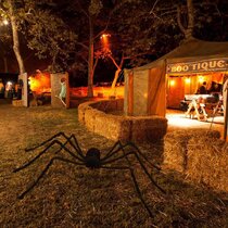 6.6ft Giant Hairy Spider Halloween Decorations Outdoor Spider Furry Black Giant Scary Fuzzy Spider Outside Indoor Yard Wed Decor Party Favor