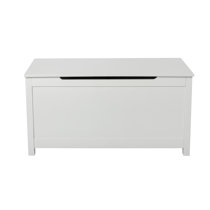 Wayfair White Toy Boxes