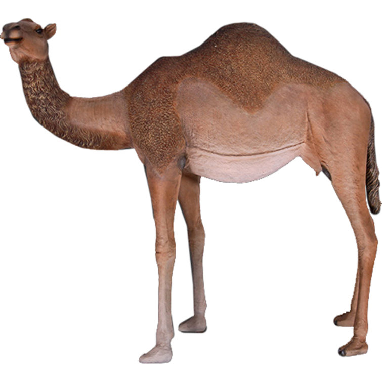 Queens of Christmas Life Size Male Camel | Wayfair.ca