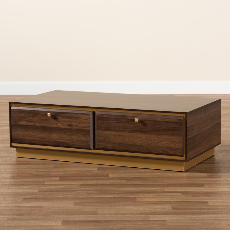 Frame Coffee Table with Storage Color: Walnut Brown