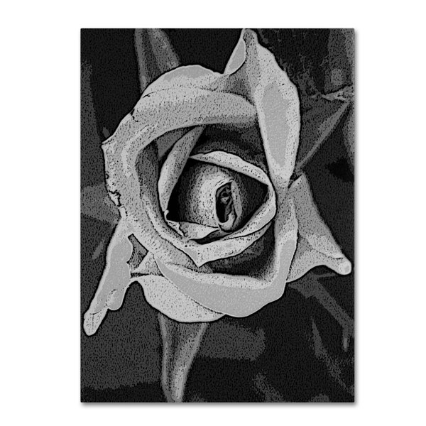 Trademark Art Black White Rose By Patty Tuggle Framed Painting