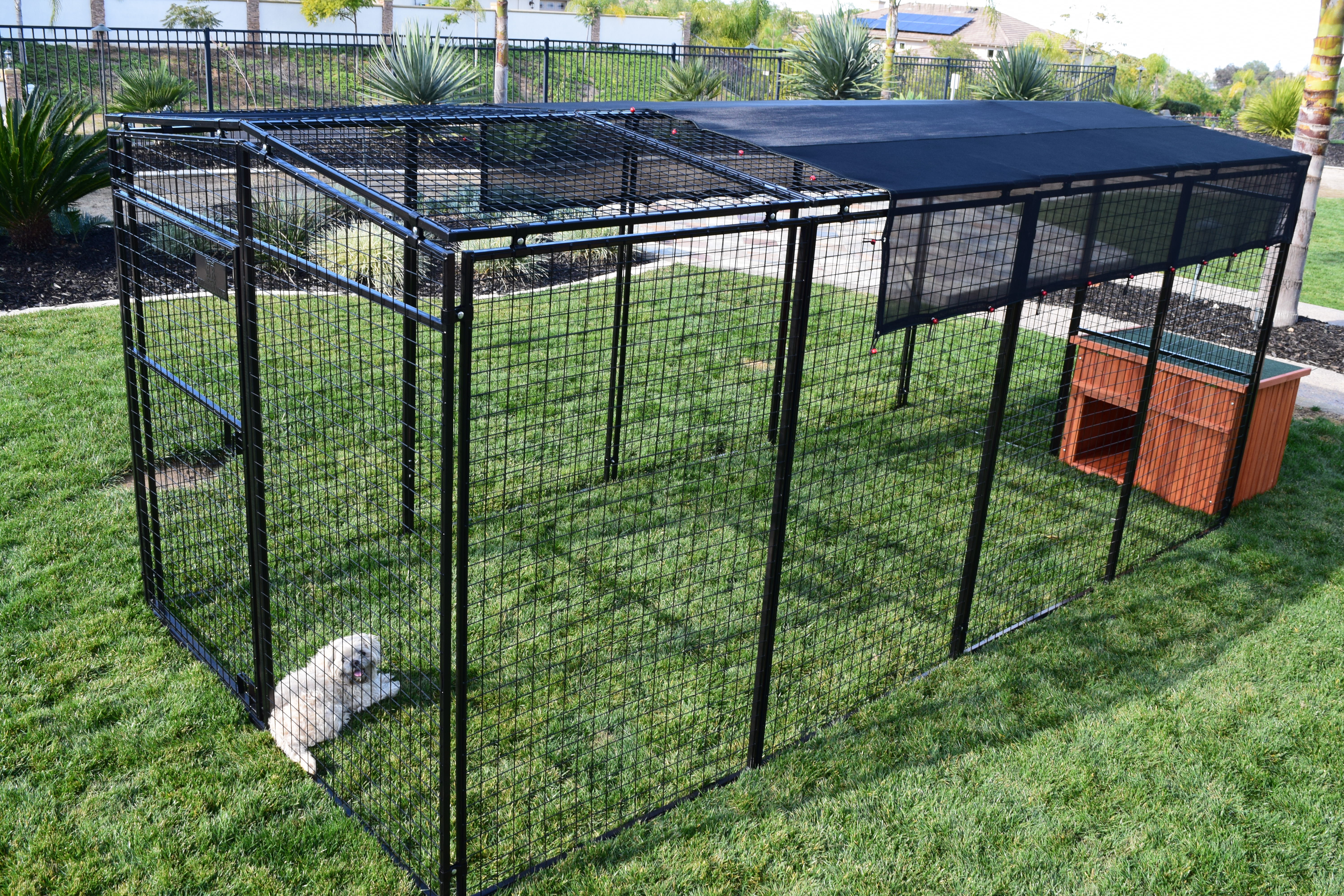dog pen with top