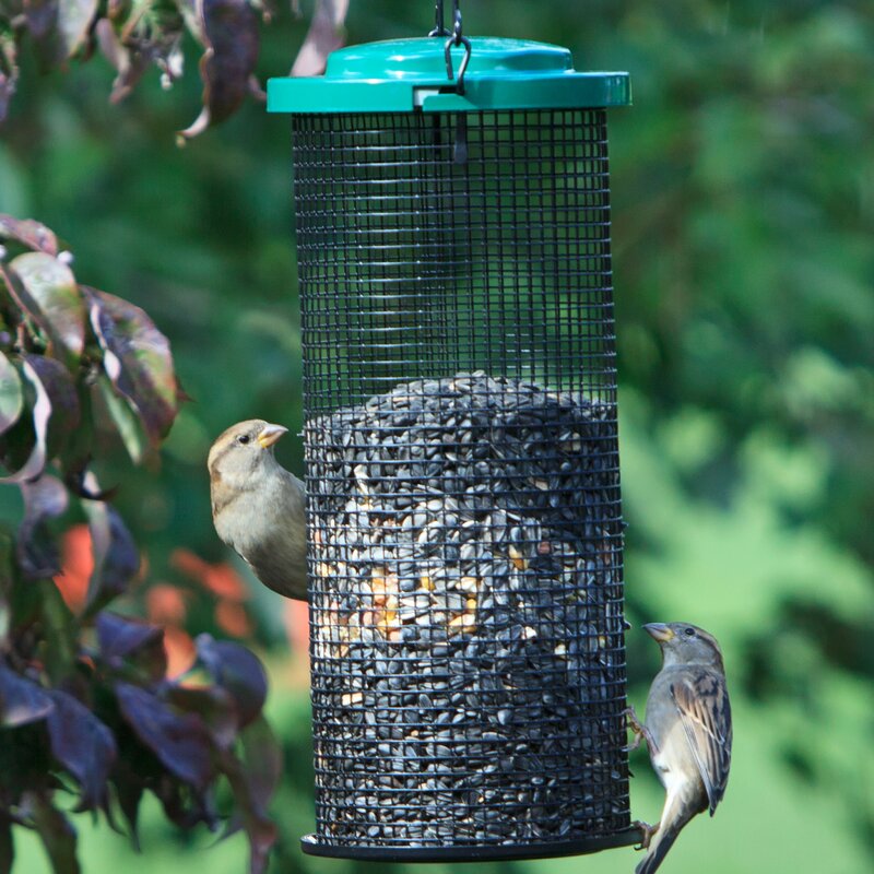 Perky Pet Sunflower Mesh Tube Bird Feeder Reviews Wayfair