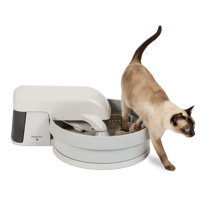 tiny cat litter box