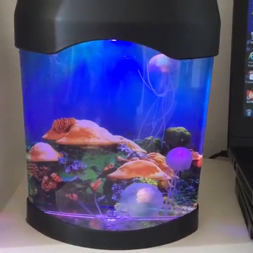 b&m fish tank