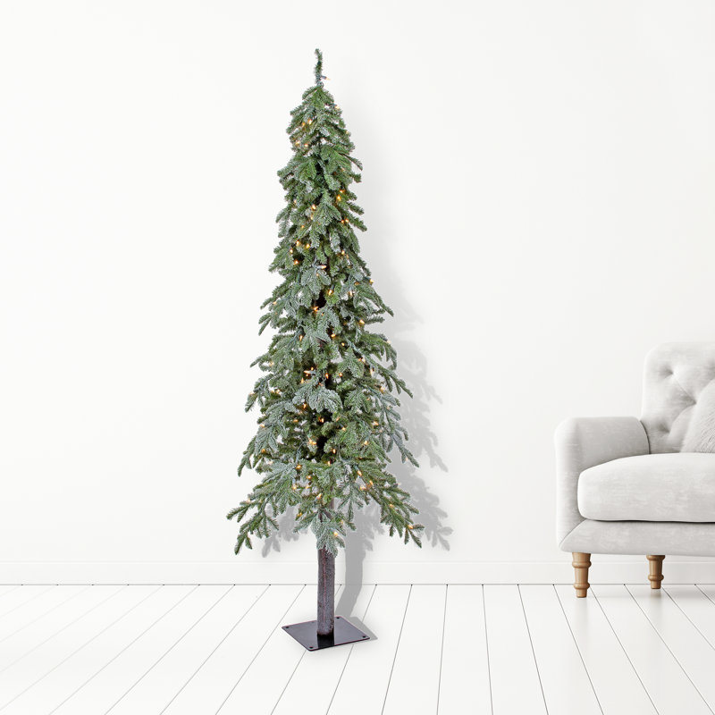 The Holiday Aisle Winter Frost Alpine Frosted Green Spruce