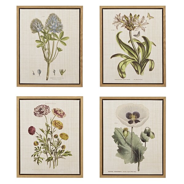 Martha Stewart Herbal Botany 4 Piece Framed Graphic Art Set on Canvas ...