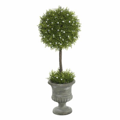 Topiaries You'll Love in 2019 | Wayfair