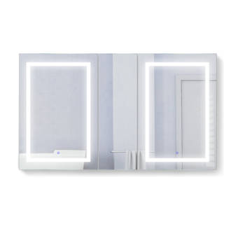 Orren Ellis Vandenberg 66 X 36 Recessed Or Surface Mount