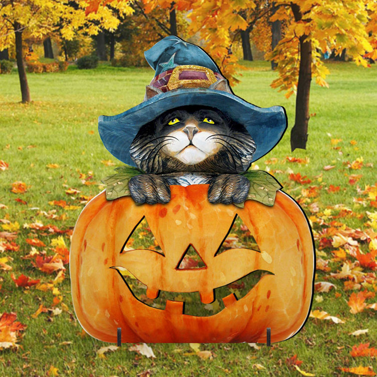 cats and pumpkin