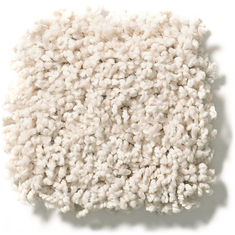 Shaw Floors Plume Perfect 24 X 24 Plush Cut Carpet Tile Reviews Wayfair