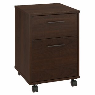 Salt Oak File Cabinet Wayfair