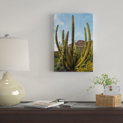 Cactus Wayfair