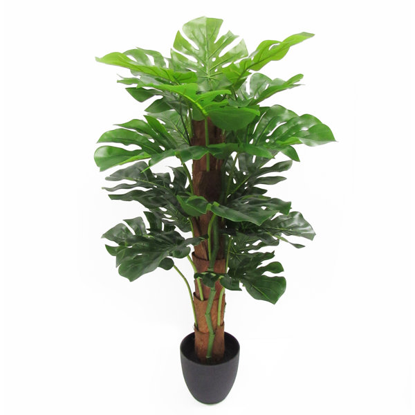 Bay Isle Home Potted Real Touch Split Leaf Philodendron Tree In