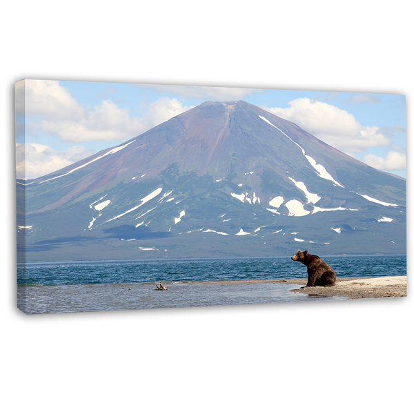 Designart Large Bear In Front Of Volcano Photographic Print On Wrapped Canvas Wayfair