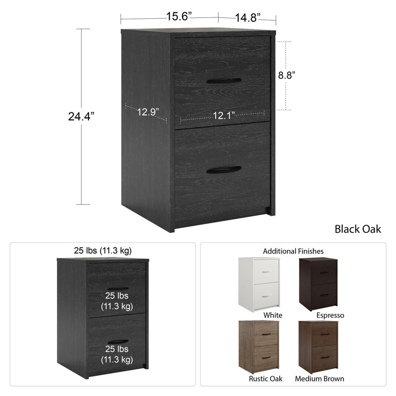 Andover Mills Mulligan 2 Drawer Vertical Filing Cabinet Reviews