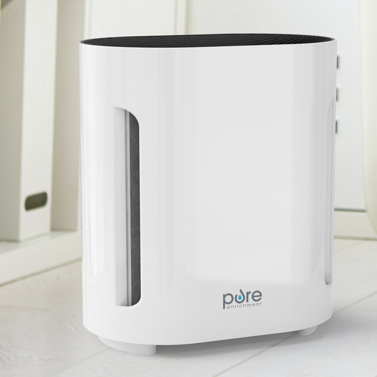 Pure Enrichment Purezone Air Purifier With Hepa Filter Reviews Wayfair