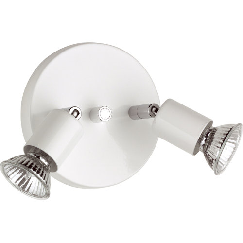Pattonsburg 2 Light Ceiling Spotlight Mercury Row Frame Colour: White