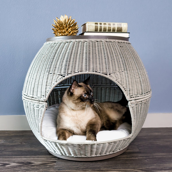 Cat Side Table Wayfair