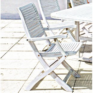 Paulsboro Folding Garden Chair (Set Of 2) By Beachcrest Home