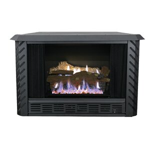 Vent Free Propane Fireplace Insert