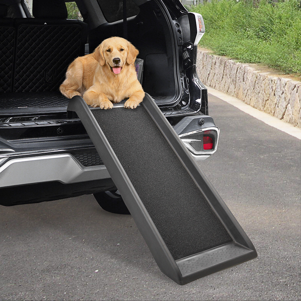 Tucker Murphy Pet Adeline Pet Ramp Wayfair