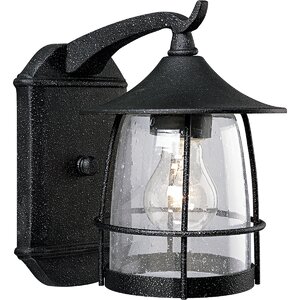 Triplehorn 1-Light Incandescent Outdoor Wall Lantern