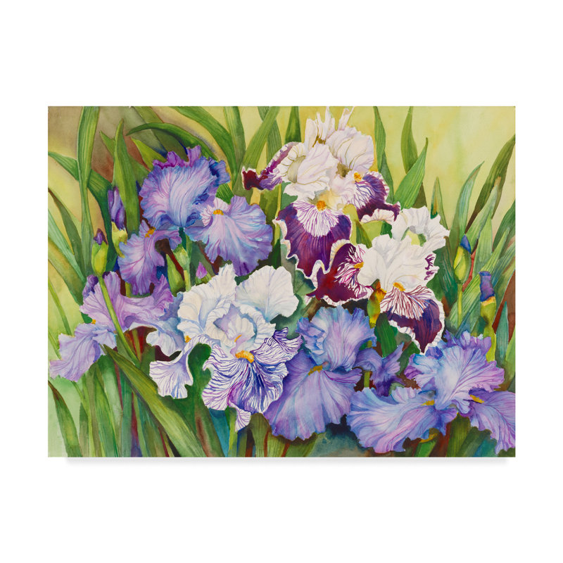 Trademark Art Joanne Porter Irises In Shades Of Lavender Wrapped Canvas Print Wayfair