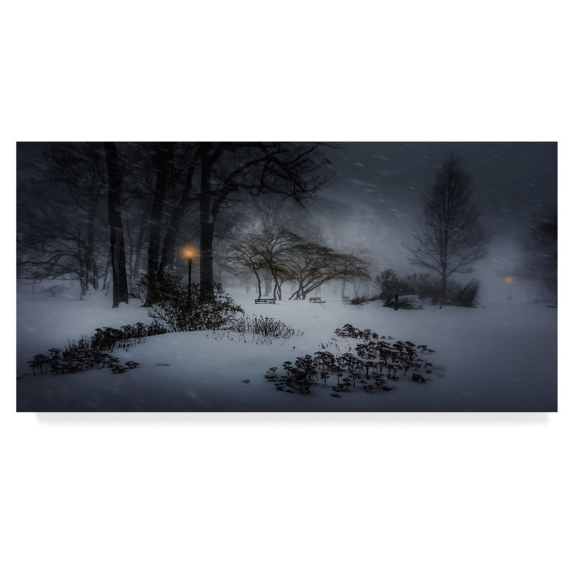 Trademark Art Winter Storm Jonas Photographic Print On Wrapped