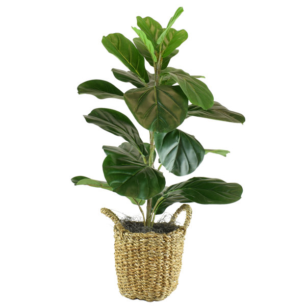 Artificial Fake Plants You Ll Love In 2021 Wayfair