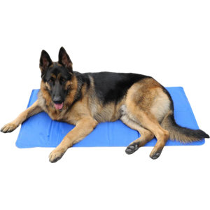 Gel Pad Dog Bed