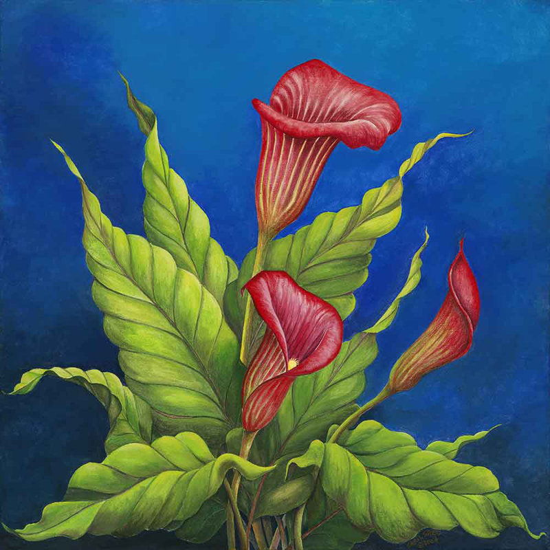 Bloomsbury Market Red Calla Lilies Acrylic Painting Print On