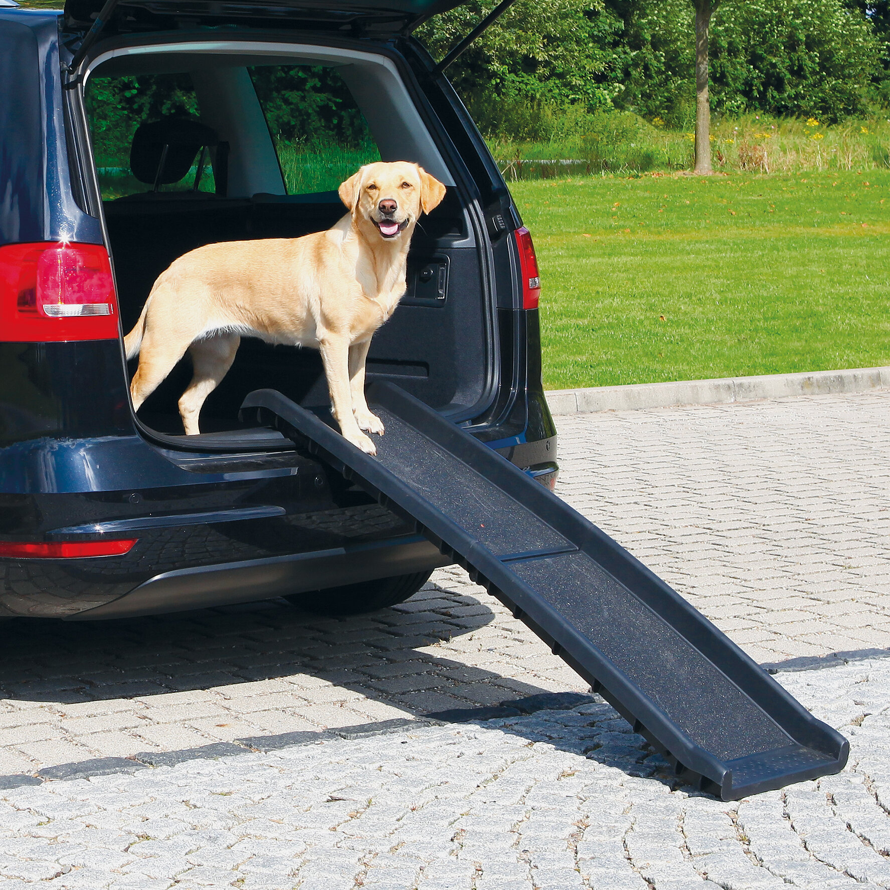 steps for dogs car