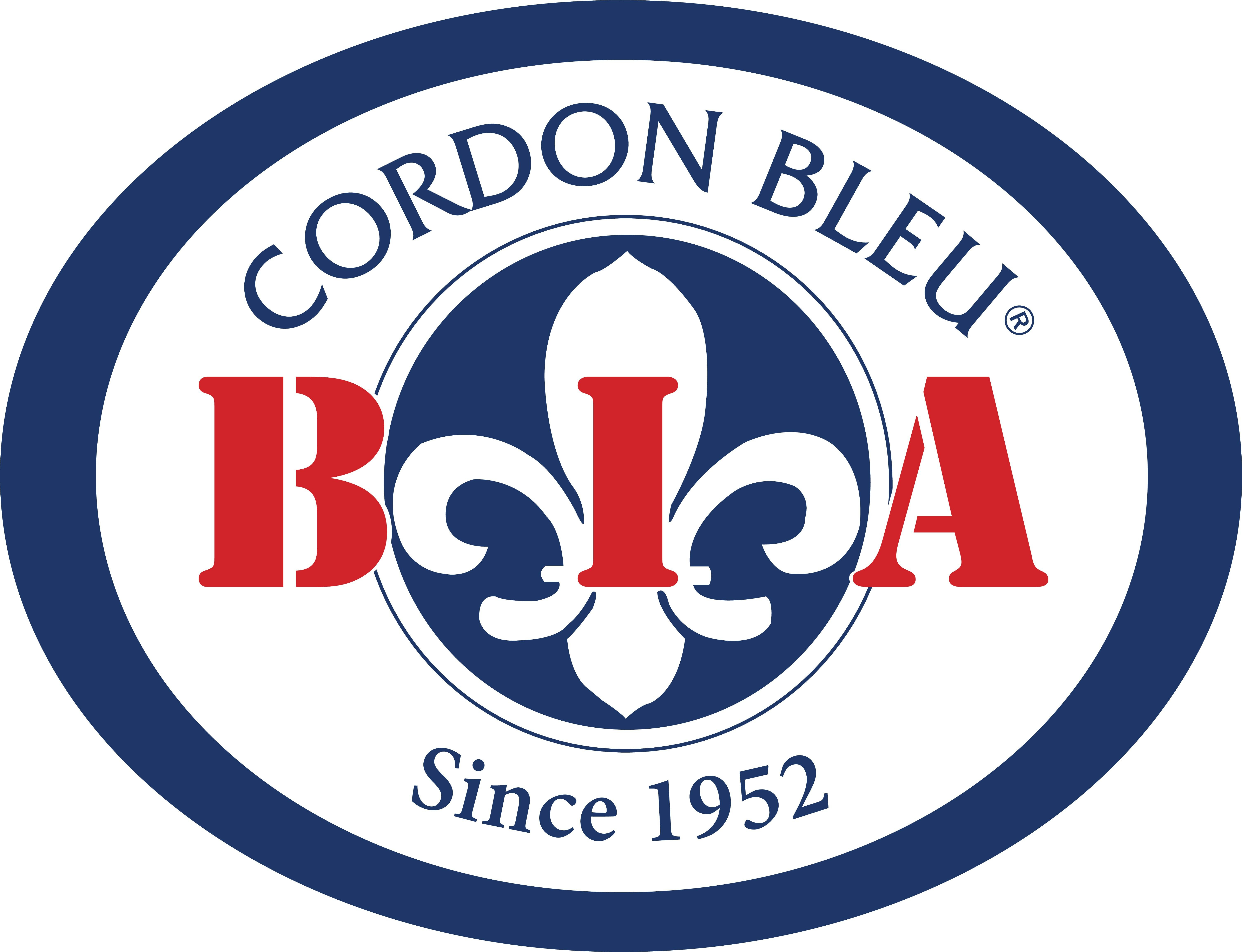 BIA Cordon Bleu White Porcelain 24 ounce Small Tagine 