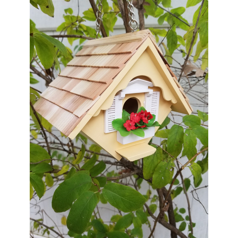 Home Bazaar Fledgling Series Little Wren House 6 5 In X 8 In X 6 Inbirdhouse Wayfair
