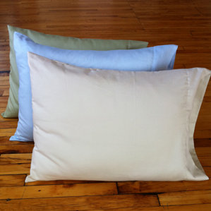 Kapok Down Alternative Queen Pillow by White Lotus Home