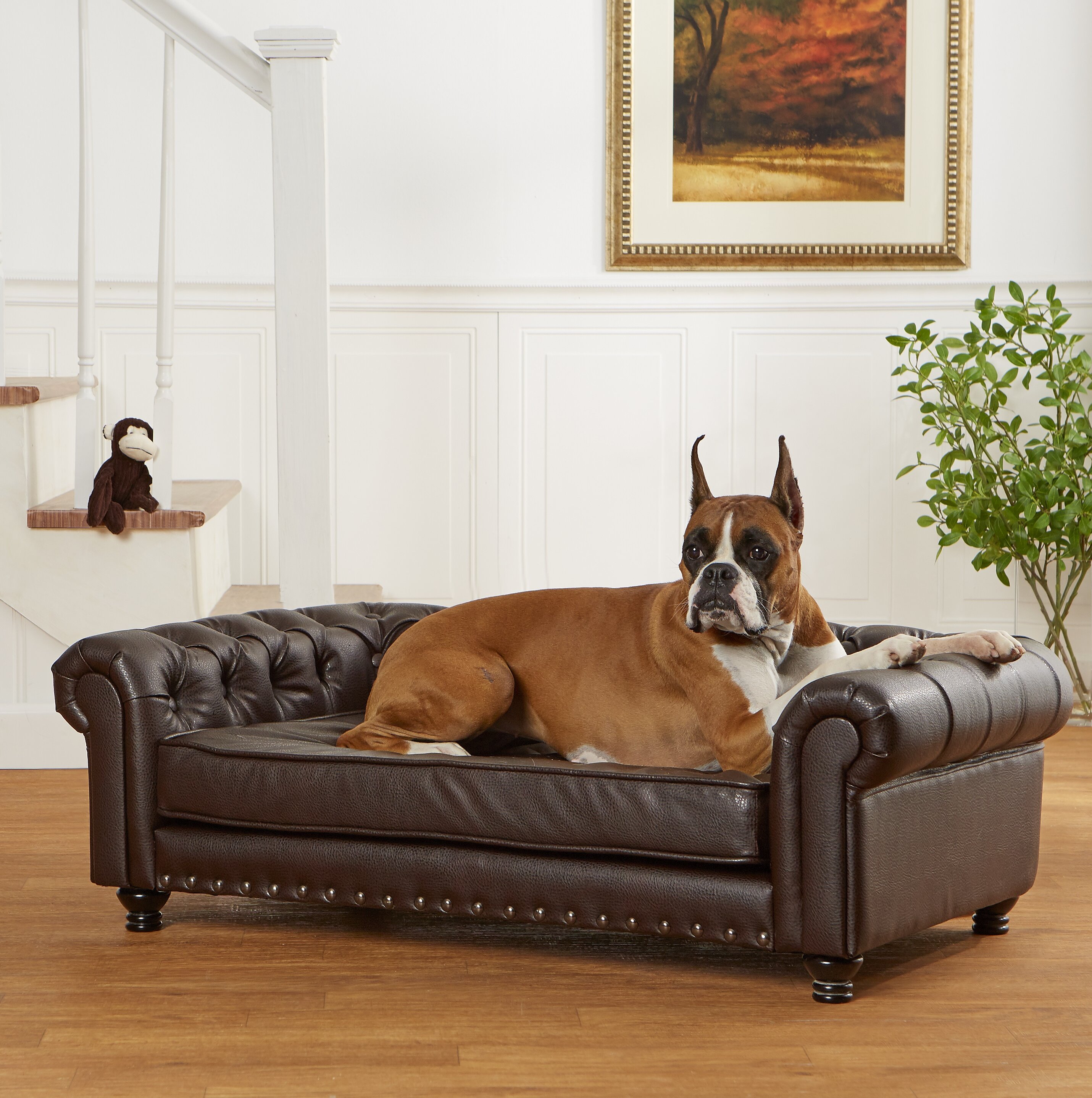 dog sofa bed amazon