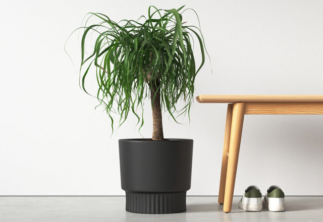 Top-Rated Planters From $25