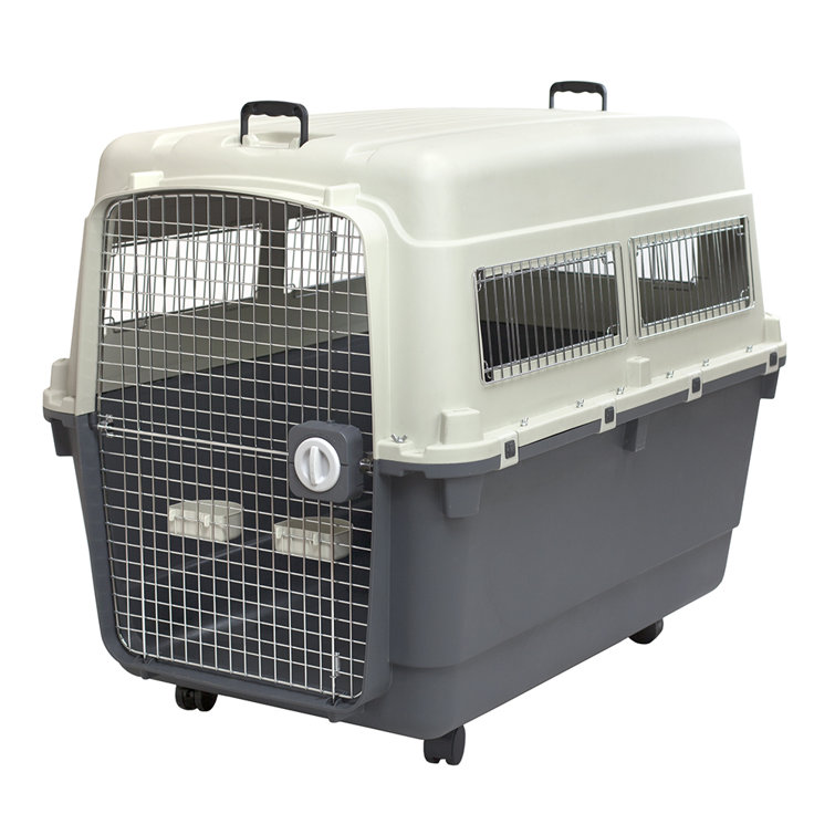 large dog plastic crate