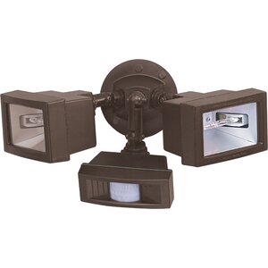 2-Light Outdoor Floodlight