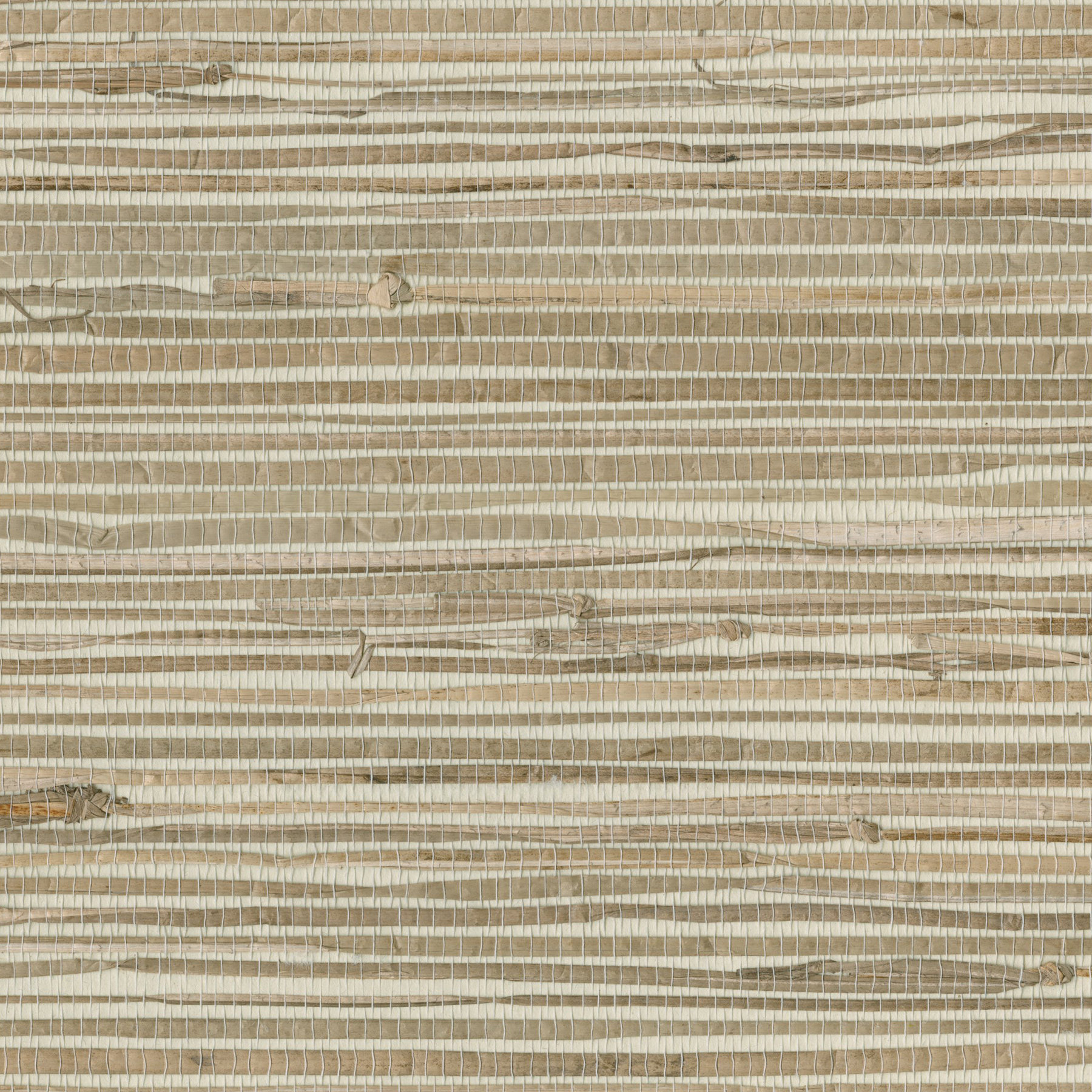 Beachcrest Home Sanger Grass Cloth Wallpaper & Reviews | Wayfair