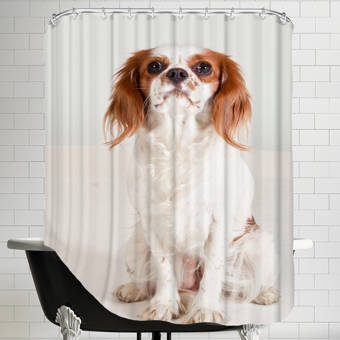 East Urban Home Shiny Single Shower Curtain Reviews Wayfair