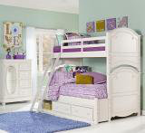 Twin Over Full Bunk Bed by Rachael Ray Home