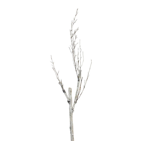 Artificial White Cream Birch Branch 28" Ice Covered  3 Pieces New 